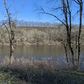 Bel-Del through the trees.jpg