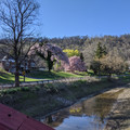 Canal bouquet.jpg
