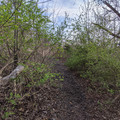 End of the trail.jpg