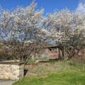 Delaware Canal State Park.jpg