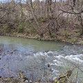 Green Bushkill.jpg