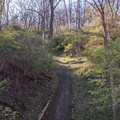 Low road.jpg