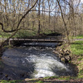 Creek at Hugh Moore.jpg