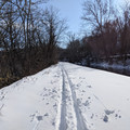 Solitary skier.jpg