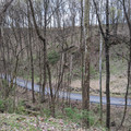 Another tree down.jpg