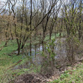 Flood.jpg