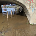 Mild flooding here.jpg