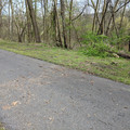 There was probably a tree down.jpg