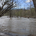 Water up.jpg