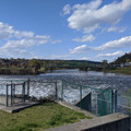 Looking up the Delaware.jpg