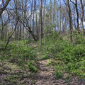 Resting spot.jpg