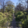 From above.jpg