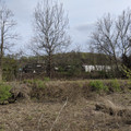 NS 5673.jpg