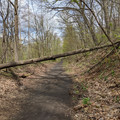 A mild obstacle.jpg