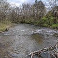 Bushkill Creek.jpg