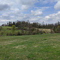 Hackett Park.jpg