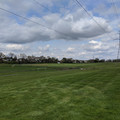 Meco Fields.jpg