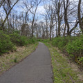 On the Forks trail.jpg