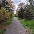 Spring color.jpg