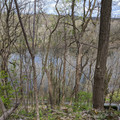 The Delaware.jpg