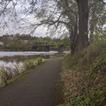 On the path.jpg