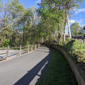 Backlit trees.jpg