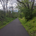 Old road.jpg
