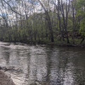 On the Bushkill.jpg