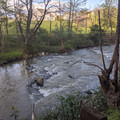 Rocks in the water.jpg