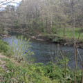 The Green Bushkill.jpg