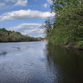 Banks of the Lehigh.jpg