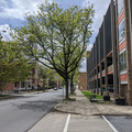 Ferry Street.jpg