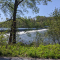 Chain dam through the trees.jpg