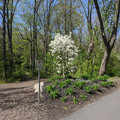 KSAT Nature Trail.jpg