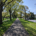 Vanishing point.jpg