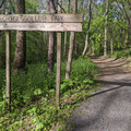 George Gollub Park.jpg