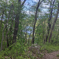 Glimpse of the Delaware.jpg