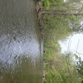 PANO_20200516_150955.vr.jpg