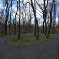 End of the trail.jpg