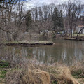 Island in the creek.jpg