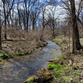 Schoeneck Creek.jpg