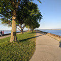 Oak Leaf Trail.jpg