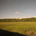 Marshland.jpg
