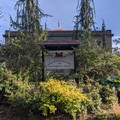 Ballard Locks.jpg