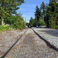 Bumpy tracks.jpg