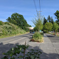 Distant BNSF.jpg