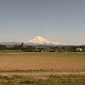 Mount Rainier.jpg