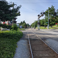 Seaview Avenue.jpg