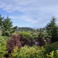 View from the top.jpg