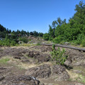 Elk Rock Island.jpg